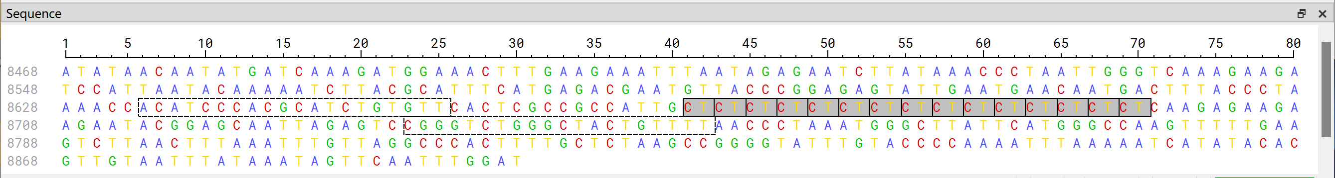 _images/primerseq.png